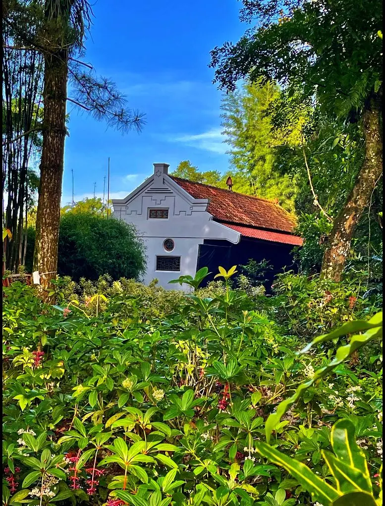 The white garden house