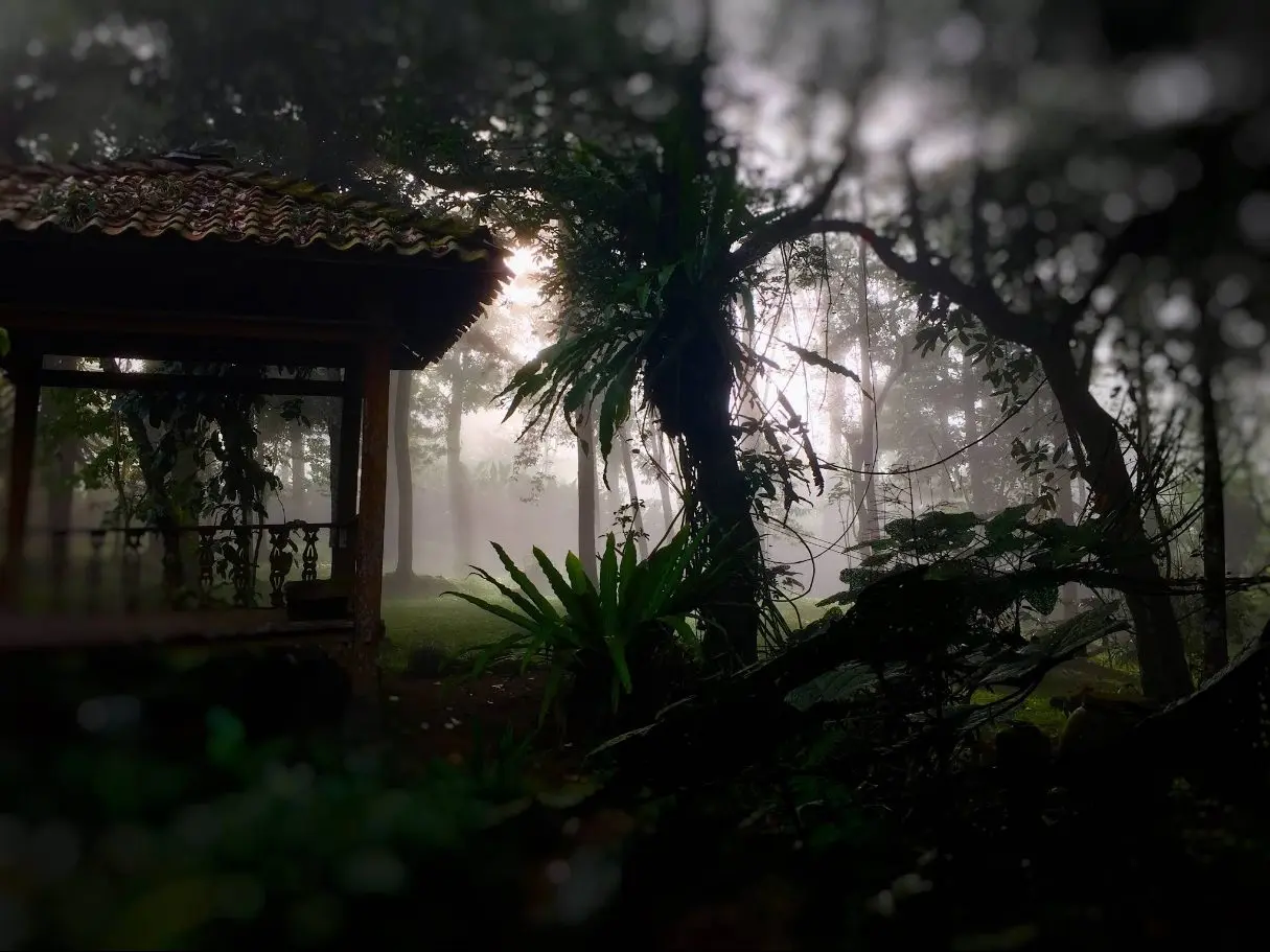 The pavilion in the mist