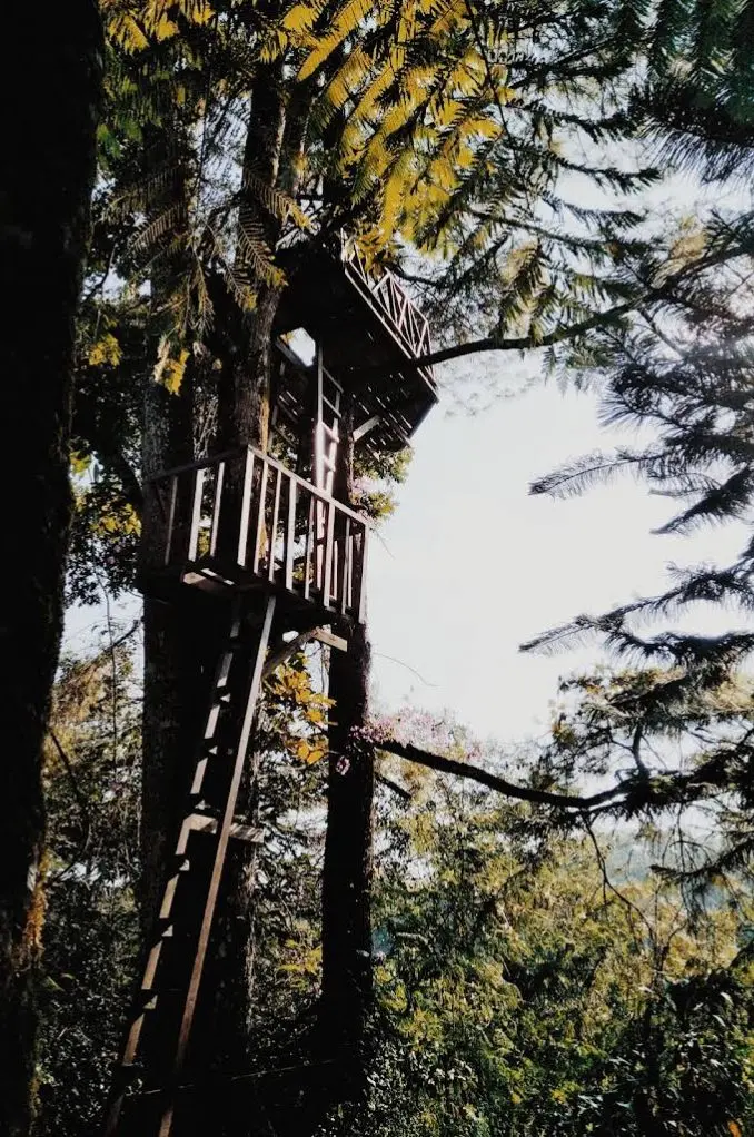 The treehouse in the garden