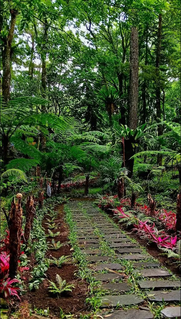 The flowering stone path