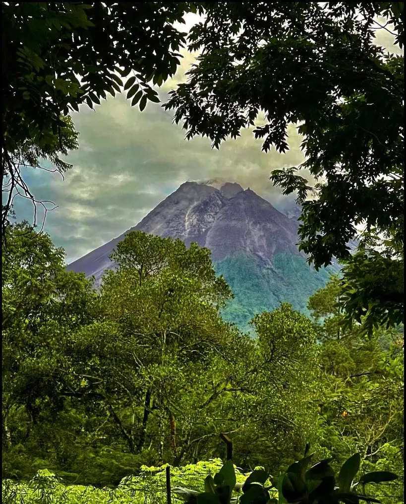 Merapi framed by the canopy
