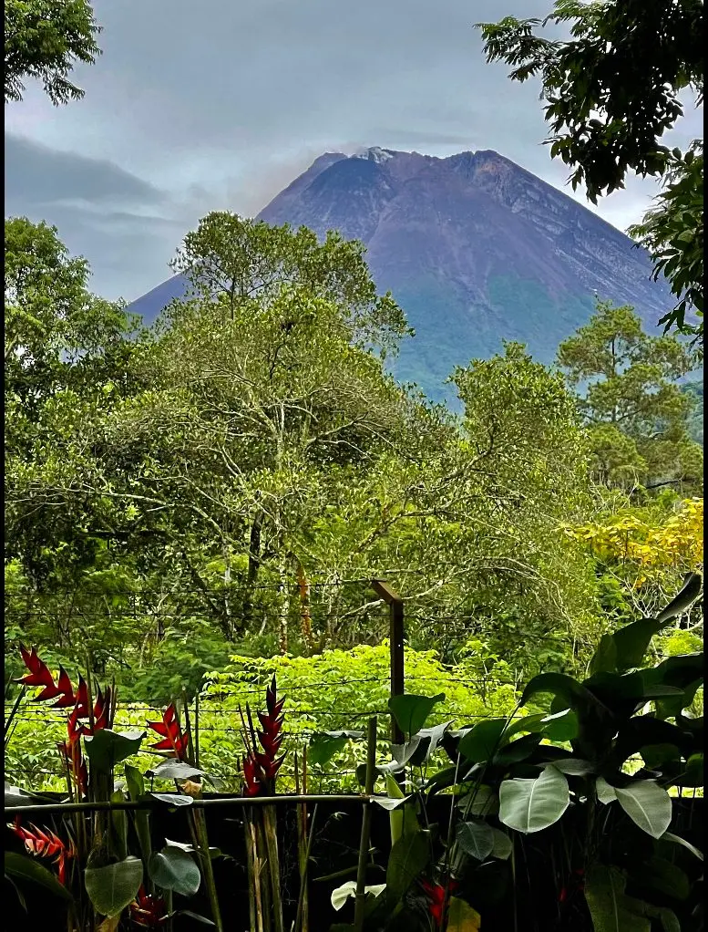 Merapi seen from the garden